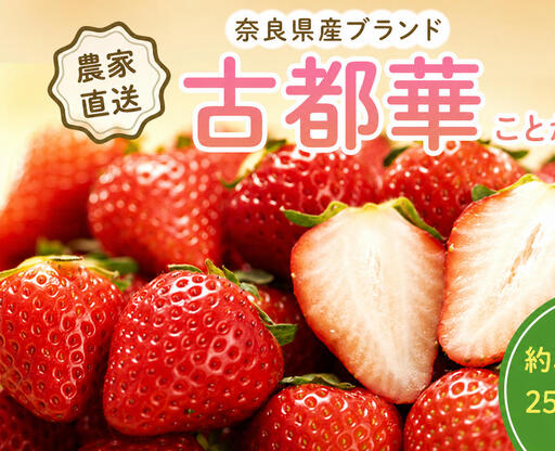 いちご 古都華 完熟 奈良県産 いちご[約500g 250g×2パック][冷蔵 先行予約]