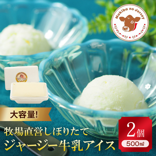 【ジャージー牛乳使用】まきばのジャージーアイス 500ml×2 (絶品ミルク) 福島県 伊達市 東北 ミルクアイス アイスクリーム 濃厚 F21C-039