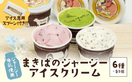 【ジャージー牛乳使用】まきばのジャージーアイスおすすめ6個  F20C-148