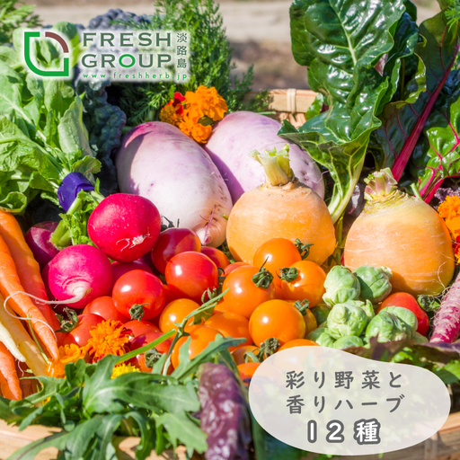 フレッシュグループ淡路島彩り野菜と香るハーブセット 野菜