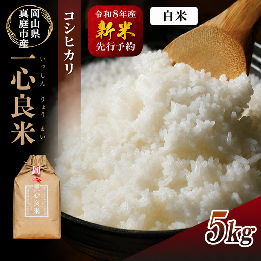 特別栽培米 令和8年産 減農薬こしひかり5kg 特別栽培米 [tkns009-02]