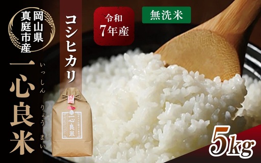 米 岡山県産精米 令和7年産コシヒカリ5kg [tkns011-01-cho]
