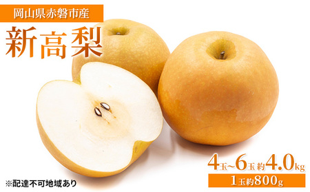 梨 先行予約 新高梨 4玉～6玉 約4.0kg  なし フルーツ 果物 ナシ 梨