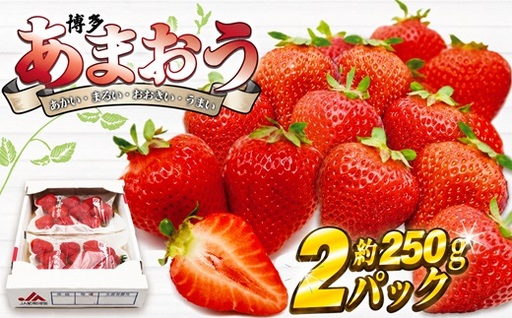 【2027年2月より順次発送】博多あまおう2パック 約500g[H2242]
