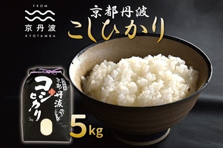 [京丹波の米][新米予約] 京丹波こしひかり 5kg 令和8年産 [ 京丹波産 米 白米 ] [010MB001]
