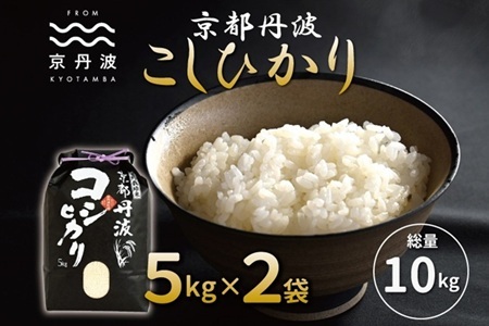 【京丹波の米】 ＜新米予約＞京丹波こしひかり 10kg 令和8年産 【 京丹波産 米  白米 】   [015MB001]