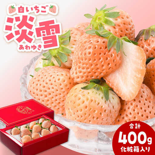 [先行予約 2027年1月〜発送]白いちご 淡雪 400g いちご