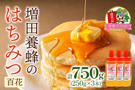 増田養蜂のはちみつ3本セット (百花)「KANRAブランド認定商品」｜国産 純粋はちみつ 蜂蜜 ハチミツ 無添加 とんがり容器 ボトル セット ハニー 産地直送 甘楽町 群馬県 [0212]