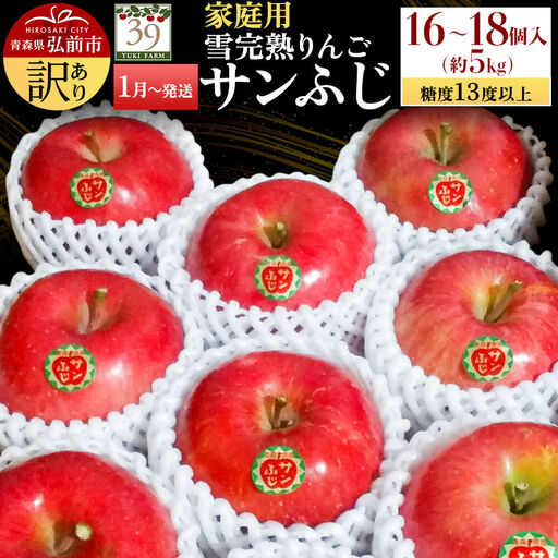 りんご サンふじ【訳あり】約5kg（16～18個）家庭用 先行受付