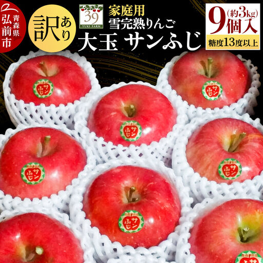 りんご サンふじ[訳あり]約3kg(9個)大玉 家庭用 先行受付