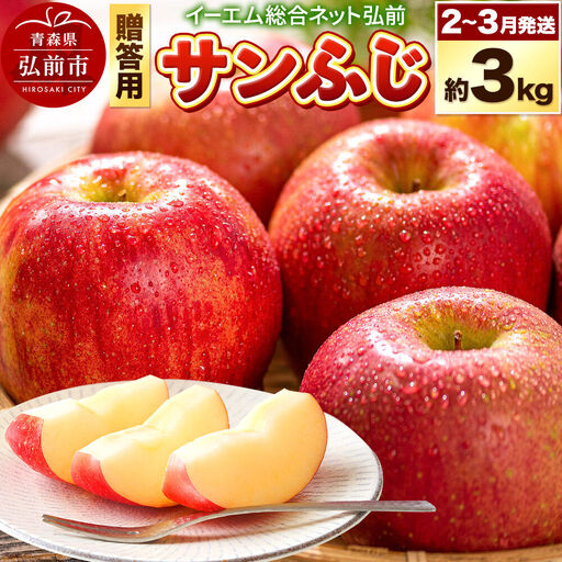 りんご サンふじ 贈答用 約3kg【2月～発送】りんご