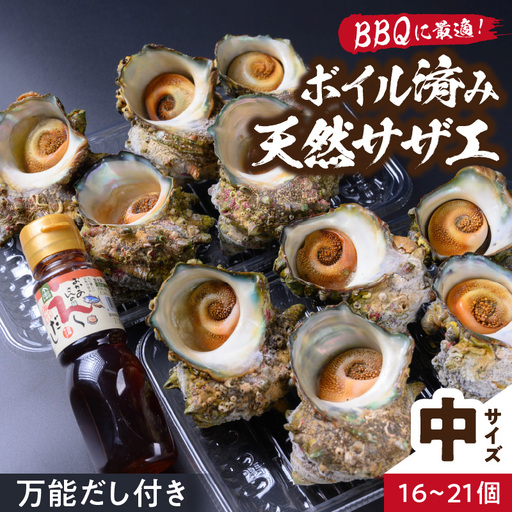 天然サザエボイル1.6kg 中サイズサザエ万能ダシ付き