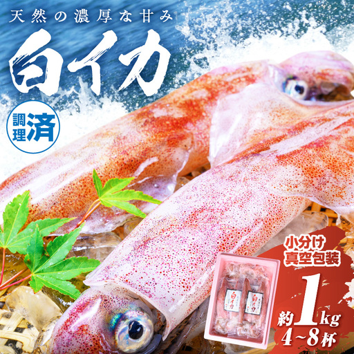 白イカケンサキ正味1kg しろいか