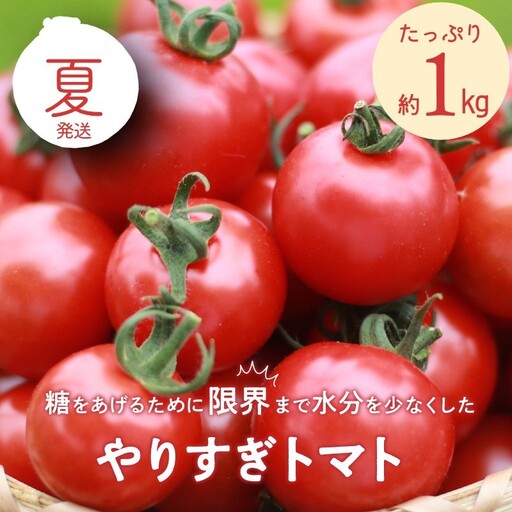 【トマト】高糖度やりすぎトマト 1kg（2026年6月上旬～発送）