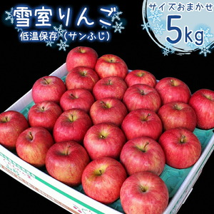 令和8年産 雪室りんご「サンふじ」 5kg サイズおまかせ 山形県産【2027年1月下旬頃から2月下旬頃発送予定】※配送不可 沖縄・離島　012-B-MM039