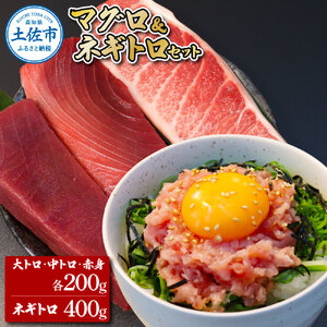 本マグロ 本鮪 大トロ・中トロ・赤身各200g ネギトロ400g(200g×2) 高知県土佐市 [株式会社大熊] [BQAA034]