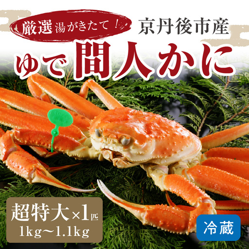 かに卸問屋がお届け・自社釜ゆで！幻のゆで間人ガニ 1ｋｇ～1.1ｋｇ超 特大サイズ（11月発送）／北畿水産 かに