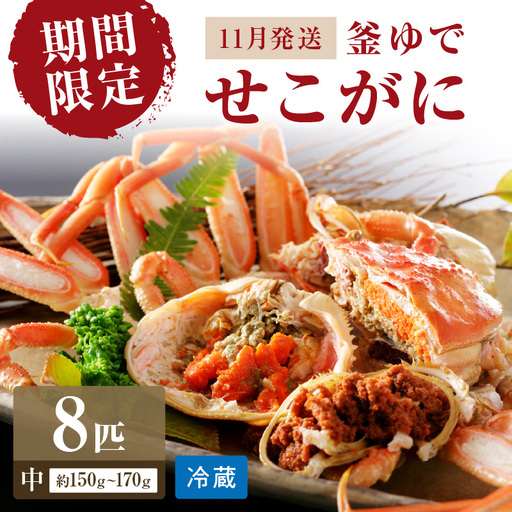 【カニ】【期間限定・冬の味覚！】釜ゆでせこがに 中サイズ（150ｇ～170ｇ） 8匹入り （11月発送）／北畿水産 カニ
