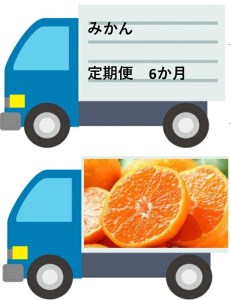 DV127_【佐賀県産】みかん定期便【年6回】
