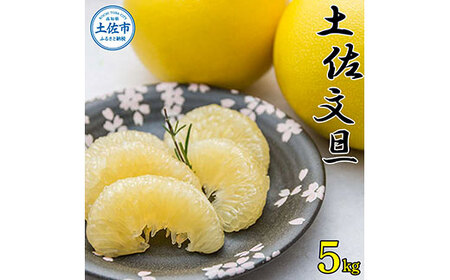 [先行予約]高知県産 土佐文旦 贈答用 約5kg 8?10玉入 [2027年2月?発送] 高知県 土佐市[株式会社種田農園][BQBW001]