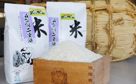米 高級もち米 3kg 令和7年産 お米 こめ コメ おこめ 餅米 