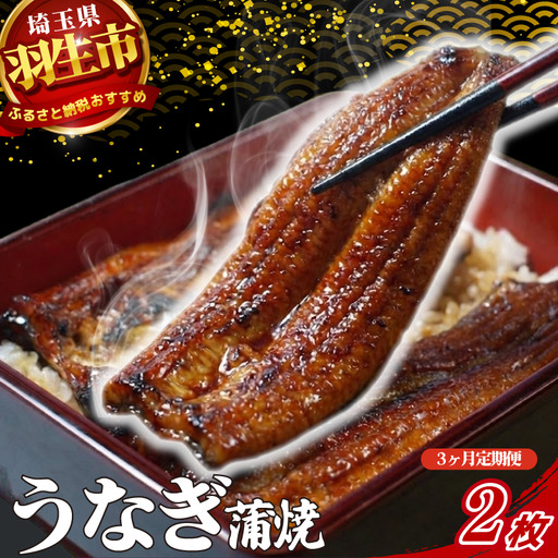 【定期便 3ヶ月】うなぎ 蒲焼 2枚 セット 120g × 3回 山椒付き 冷蔵 創業170年 魚徳
