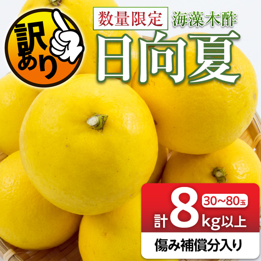 先行予約 訳あり 海藻木酢 日向夏 小夏 計8kg以上 傷み補償分入り_BB179-26