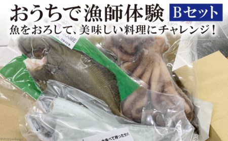おうちで漁師体験Ｂセット ヒラメ 1尾 マサバ 2尾 マダコ 1袋 [天洋丸 長崎県 雲仙市 item1737] ひらめ さば サバ 鯖 たこ タコ