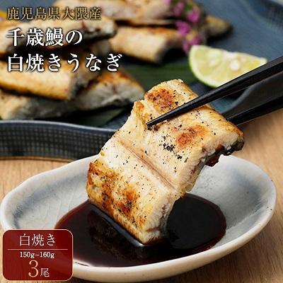 鹿児島県大隅産 千歳鰻の 白焼鰻　3尾｜うなぎ うなぎ