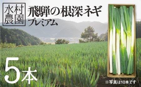 [先行予約]飛騨の根深ねぎ プレミアム ねぎ 5本 水村農園