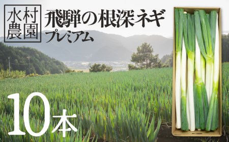 [先行予約]飛騨の根深ネギ プレミアム ねぎ 10本 水村農園 ネギ