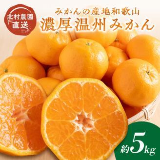 濃厚温州みかん5kg（和歌山天田みかん）みかんの産地和歌山 北村農園直送《先行予約》【0613-4】