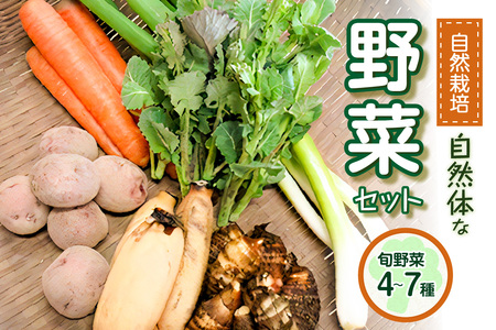 京都府 木津川市産 自然農法 土の力で育てる固定種の野菜セット 自然栽培 無肥料 野菜 やさい 野菜セット こだわり 特別栽培 野菜詰合せ 旬の野菜 新鮮 Red Rice 自然農園 京都府 木津川 086-02