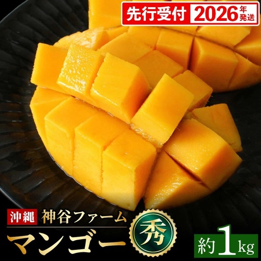 【化粧箱入】【先行受付・2026年発送】神谷ファームのマンゴー（秀）約1Kg - 先行予約 沖縄県産 産地直送 南国フルーツ 旬の味覚 季節の果物 贈り物 ギフト 沖縄県 八重瀬町