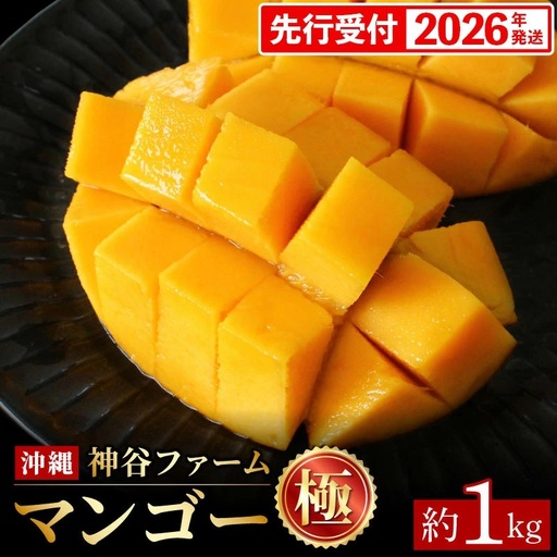 【化粧箱入】【先行受付・2026年発送】神谷ファームのマンゴー（極）約1Kg - 先行予約 沖縄県産 産地直送 南国フルーツ 旬の味覚 季節の果物 贈り物 ギフト 沖縄県 八重瀬町