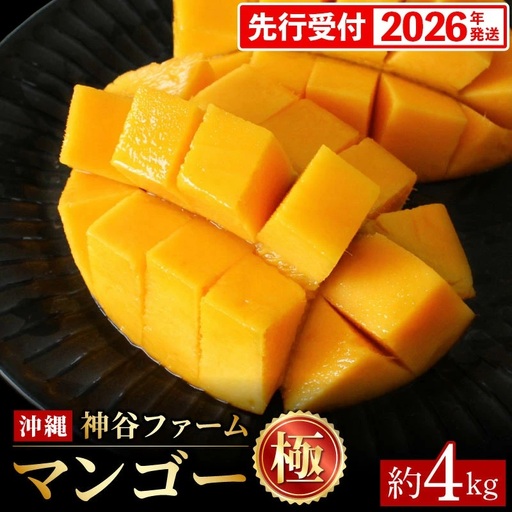【化粧箱入】【先行受付・2026年発送】神谷ファームのマンゴー（極）約4Kg - 先行予約 沖縄県産 産地直送 南国フルーツ 旬の味覚 季節の果物 贈り物 ギフト 沖縄県 八重瀬町