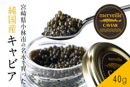 【定期便：年12回】【純国産宮崎キャビア】メルベイユキャビア480g(40g×12回)