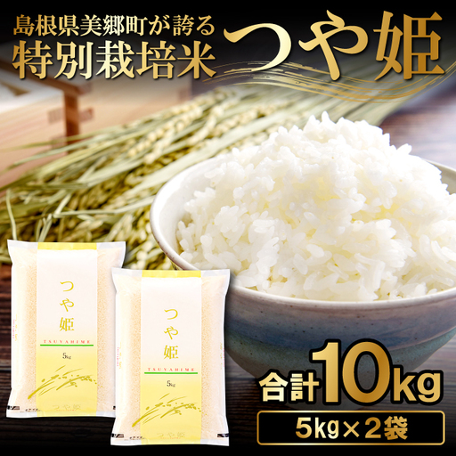 〈先行予約〉新米 令和6年産 美郷町産 特別栽培米 つや姫 10kg (5kg×2袋) 【お米 10kg 5kg×2袋 精米 白米 ブランド米 つや姫 特別栽培米 美郷町産 お米 先行予約 2024年産】