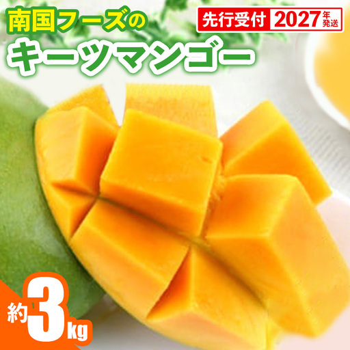 【先行受付】【2027年発送】南国フーズのキーツマンゴー 約3kg - 先行予約 沖縄 産地直送 南国フルーツ 旬の味覚 沖縄県産 国産マンゴー 希少種 オススメ 沖縄県 八重瀬町