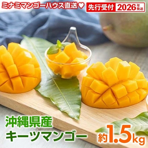 【先行予約】【2026年発送】ミナミマンゴーハウスのキーツマンゴー約1.5kg - 先行予約 産地直送 沖縄産 国産 果物 フルーツ 南国フルーツ トロピカルフルーツ 旬の味覚 人気 おすすめ 送料無料 沖縄県 八重瀬町
