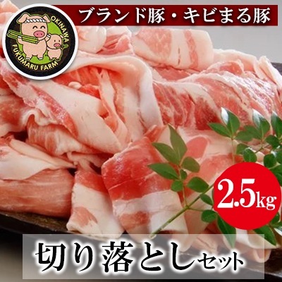 【ブランド豚・キビまる豚】切り落とし　約2.5kg - 豚肉 小分け 500gずつ 部位混合 色々楽しめる 人気 しょうが焼き 肉じゃが 豚丼 豚キムチ 肉巻き アレンジ 色々 人気 ブランド豚 おすすめ 沖縄県 八重瀬町【価格改定】