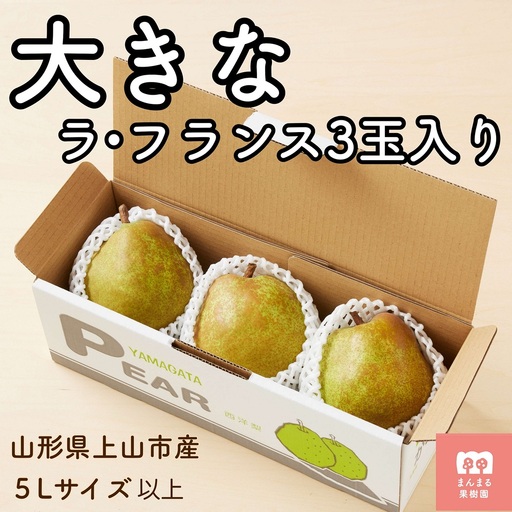 西洋梨（ラ・フランス）３玉　大玉　特秀品　0055-2608