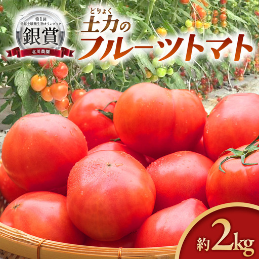 土力のフルーツトマト  大玉 KN-01