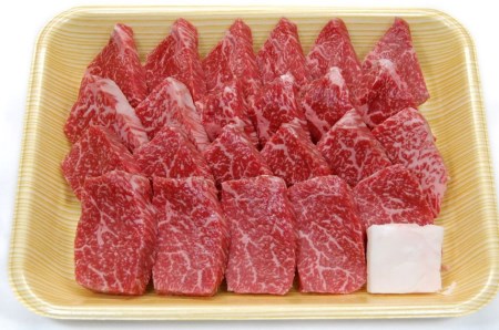 飛騨市産 5等級飛騨牛 ミニステーキ用 500g ギフト お中元 お歳暮