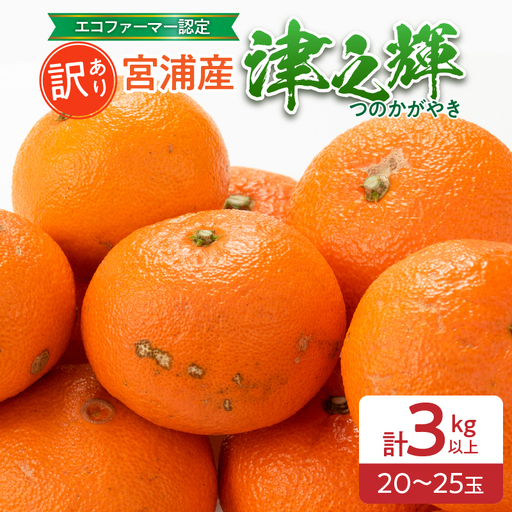 訳あり みかん 津之輝 計3kg以上 先行予約 2027年 令和9年発送 果物 くだもの フルーツ 柑橘_BC169-26