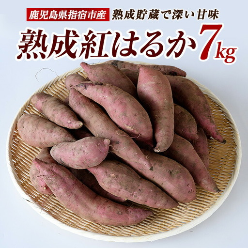 2026年11月上旬～発送 指宿産 紅はるか 約7kg IB066-006 さつまいも