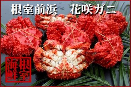 【北海道根室産】花咲ガニ4～6尾(計1.2kg) A-57037
