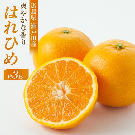 [先行予約]爽やかな香り! はれひめ3kg [2026年12月下旬より発送開始]