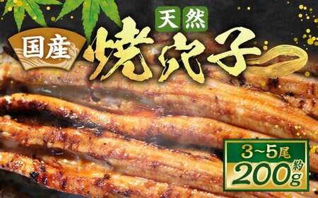 国産天然焼穴子(約200g)あなご アナゴ 秘伝のタレ