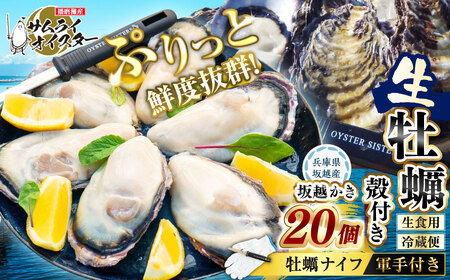 坂越かき 殻付き 20個(牡蠣ナイフ・軍手付き)[2027年1月以降発送予定]/ 牡蠣 かき カキ オイスター サムライオイスター 生牡蠣 魚介 貝 海産物 生食 ギフト 兵庫県 赤穂市